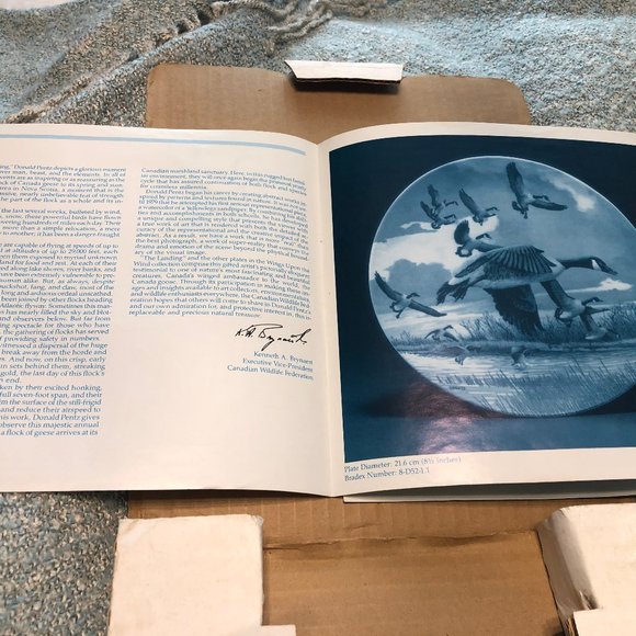 "The Landing" Collector's Plate Canadian Geese - Picture 4 of 5